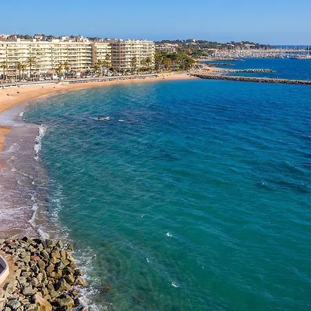 De Flore Saint-Raphaël